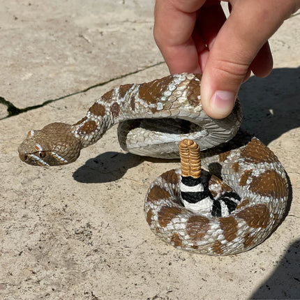 IC Western Diamondback Rattlesnake