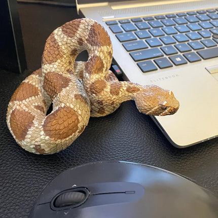 IC Western Diamondback Rattlesnake