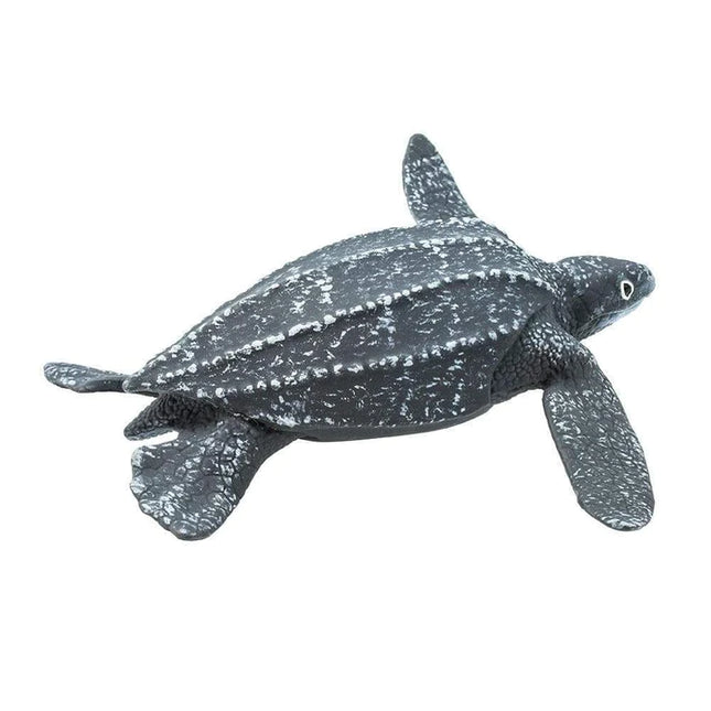 WSS Leatherback Sea Turtle