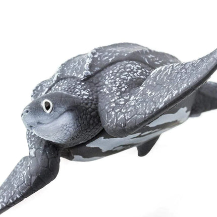 WSS Leatherback Sea Turtle