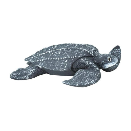 WSS Leatherback Sea Turtle