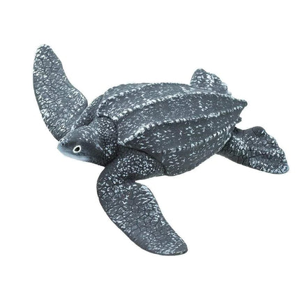 WSS Leatherback Sea Turtle