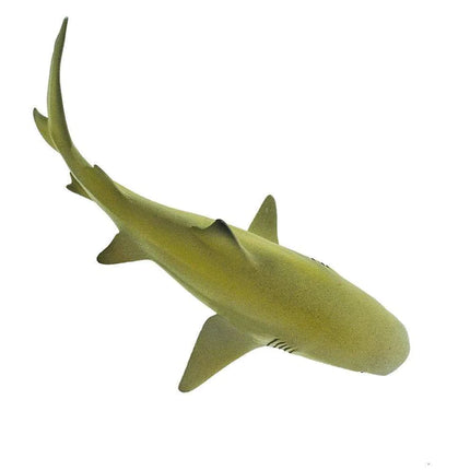 WSS Lemon Shark