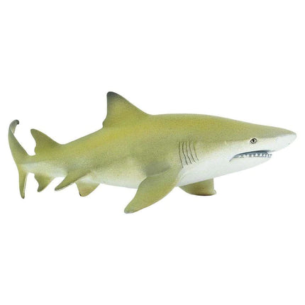 WSS Lemon Shark