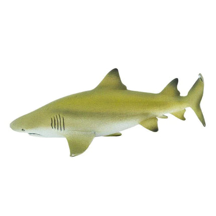 WSS Lemon Shark