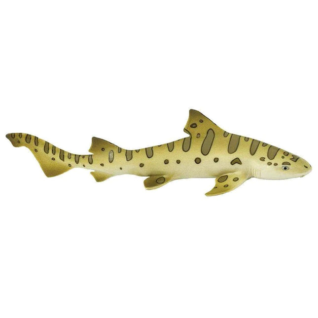 WSS Leopard Shark