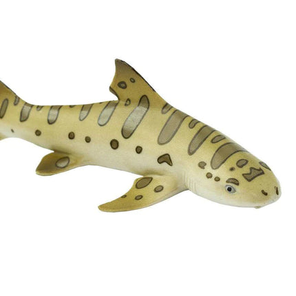 WSS Leopard Shark