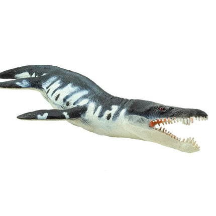 WSD Liopleurodon