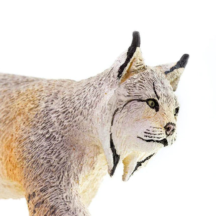 WSW Lynx