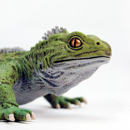 IC Tuatara