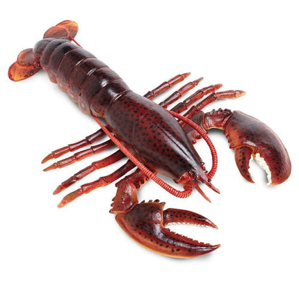 IC Maine Lobster