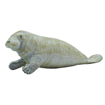 WSS Manatee