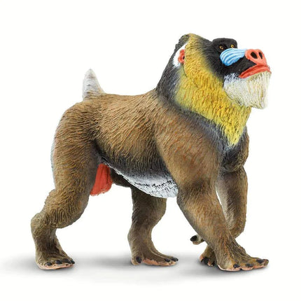 WSW Mandrill