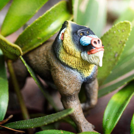 WSW Mandrill