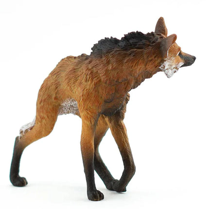 WSW Maned Wolf