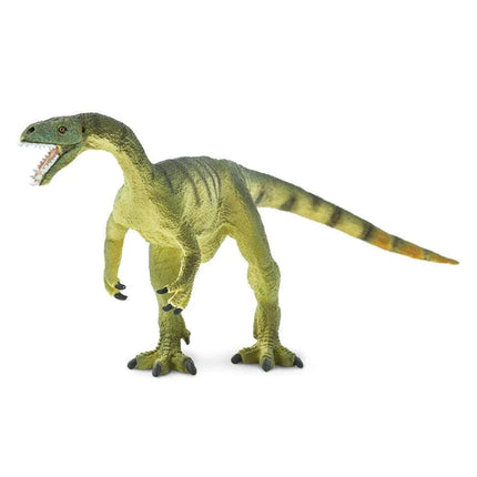 WSD Masiakasaurus