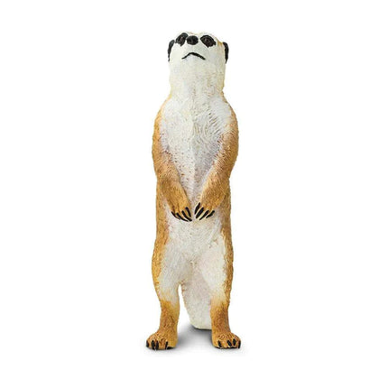 WSW Meercat