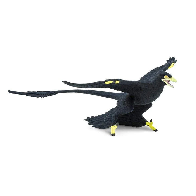 WSD Microraptor