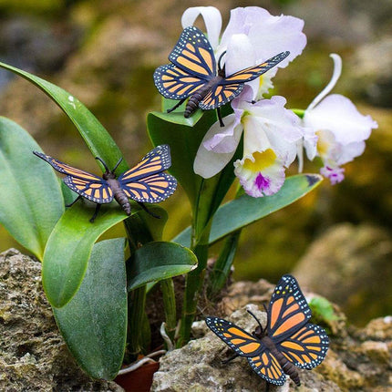 IC Monarch Butterfly