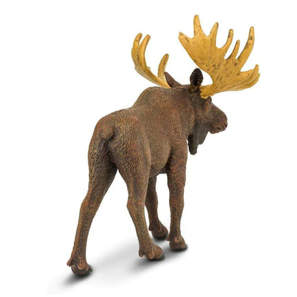 WSW Moose