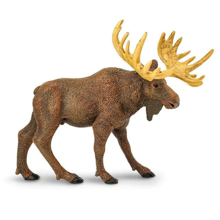 WSW Moose