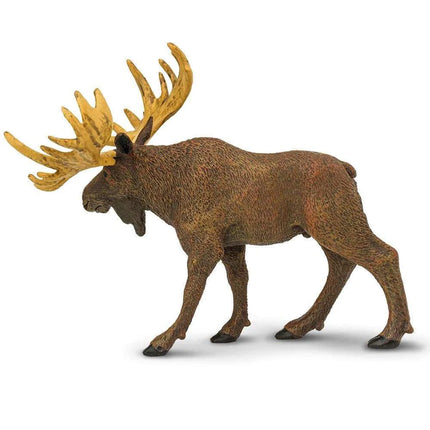 WSW Moose