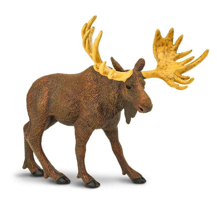 WSW Moose