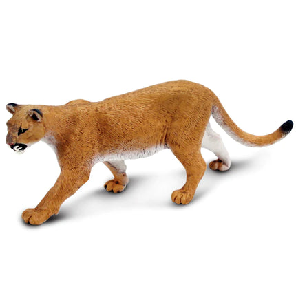 WSW Mountain Lion Puma