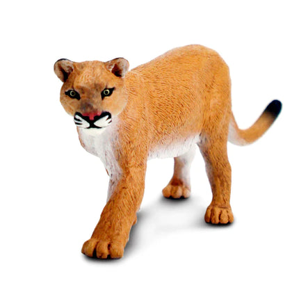 WSW Mountain Lion Puma