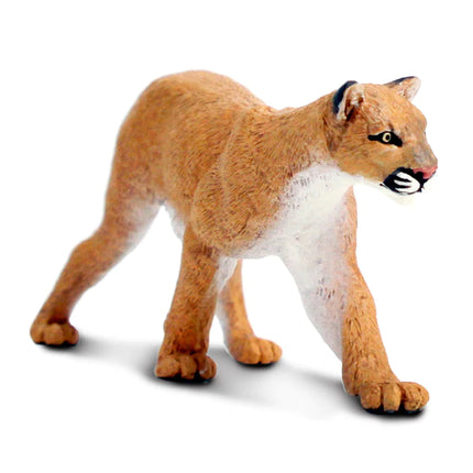 WSW Mountain Lion Puma