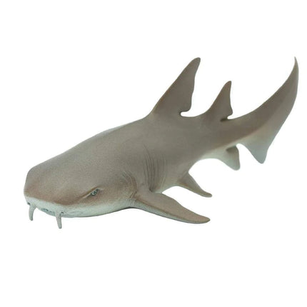 WSS Nurse Shark