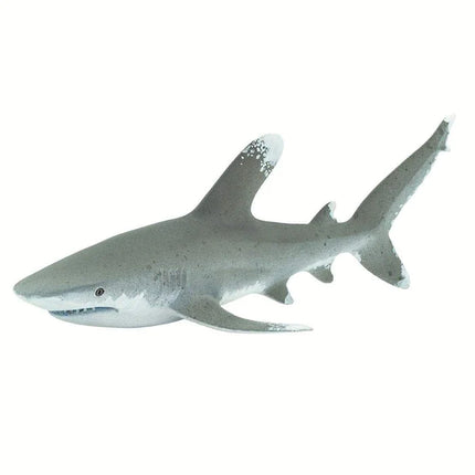 WSS Oceanic White Tip Shark