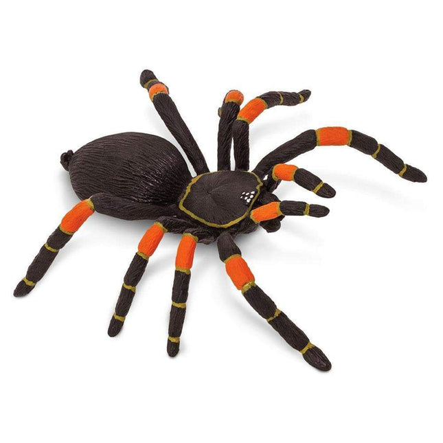 IC Orange Kneed Tarantula