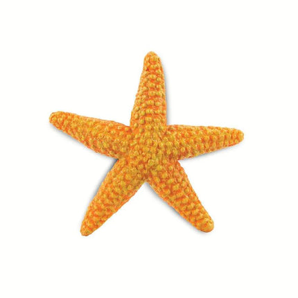 WSS Orange Starfish