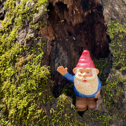 MR Gnome Gnorman