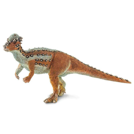 WSD Pachycephalosaurus