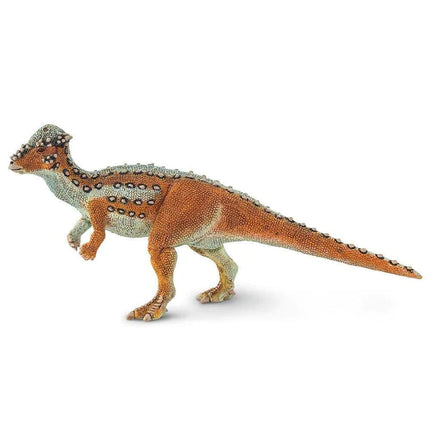 WSD Pachycephalosaurus