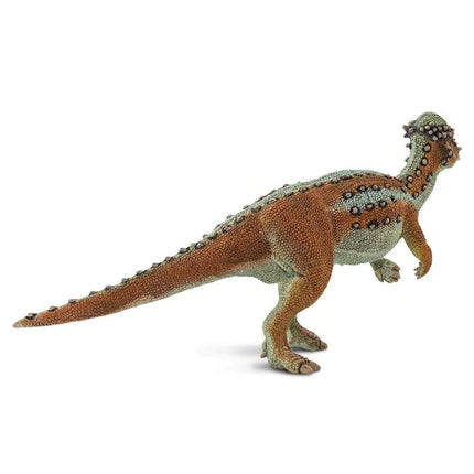 WSD Pachycephalosaurus