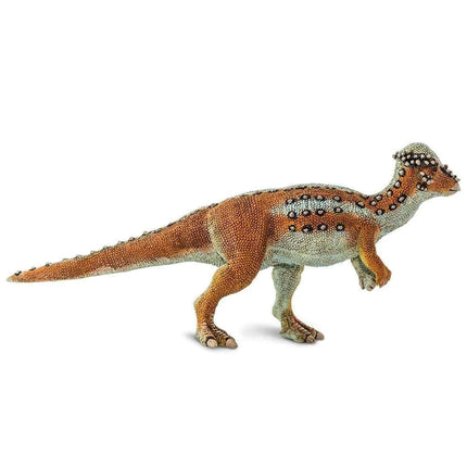 WSD Pachycephalosaurus