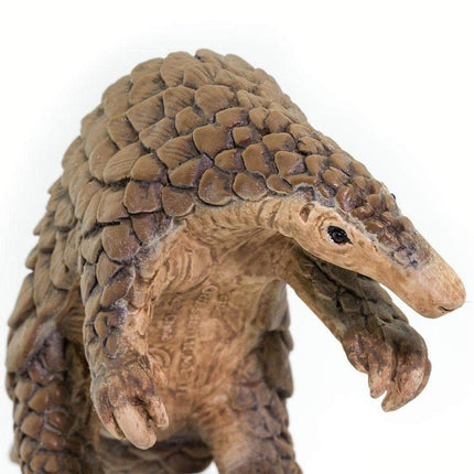 IC Pangolin