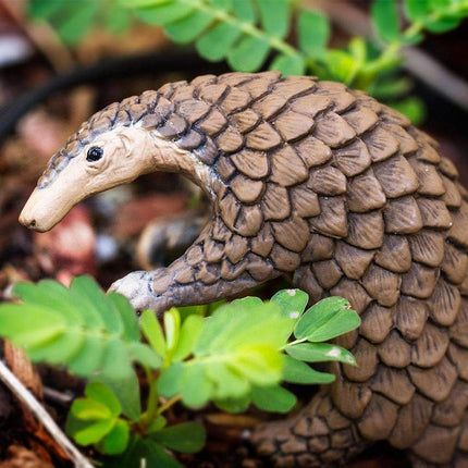 IC Pangolin