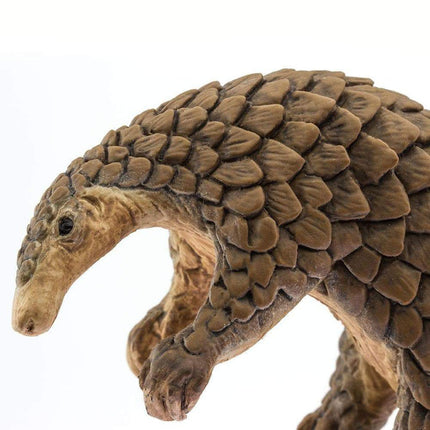 IC Pangolin