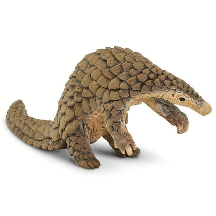 IC Pangolin