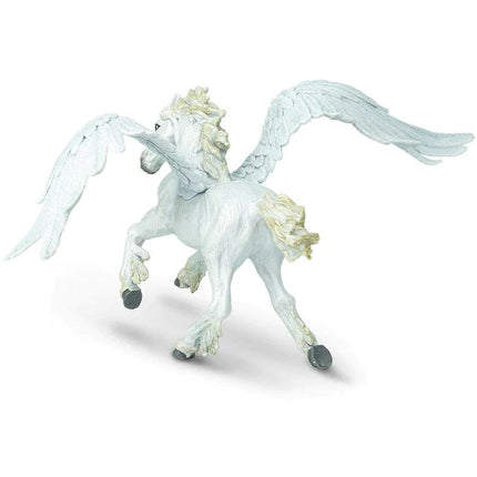 MR Pegasus