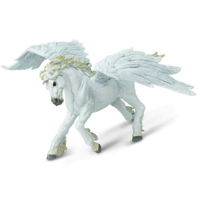 MR Pegasus