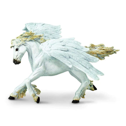 MR Pegasus