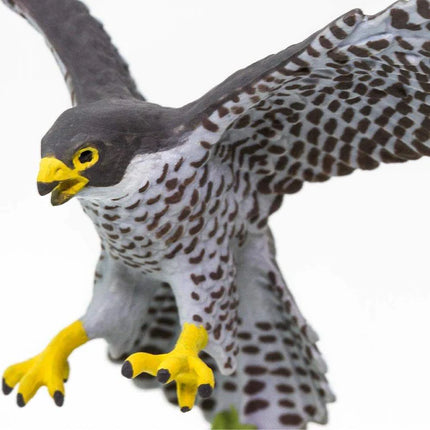 WSB Peregrine Falcon