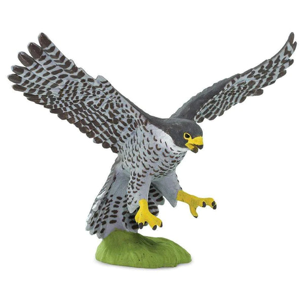 WSB Peregrine Falcon
