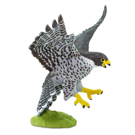 WSB Peregrine Falcon