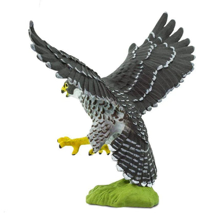 WSB Peregrine Falcon